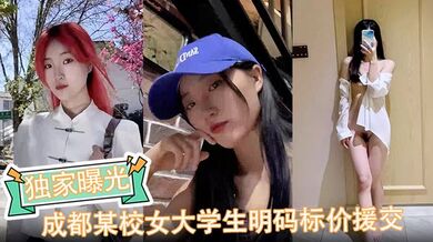 【独家曝光】成都某校女大学生明码标价援交陪玩伴游卖逼视频被金主爆出完整版